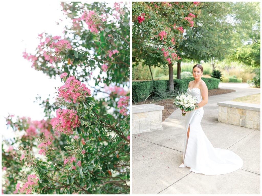 Crepe Myrtle blooming above bride
